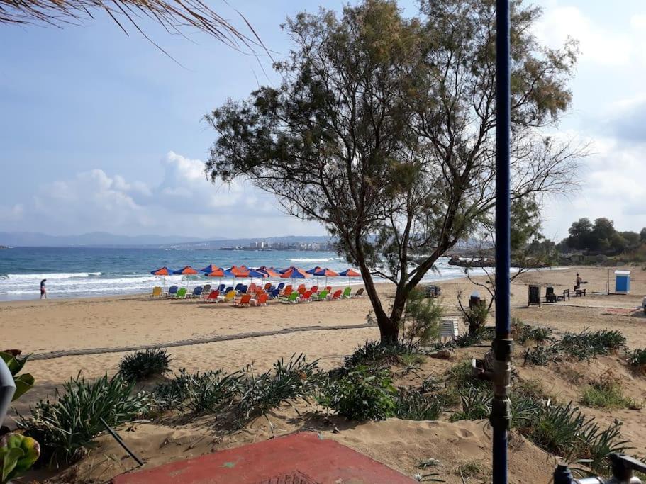 Cozy New Apartments Nea Chora Chania  Zewnętrze zdjęcie