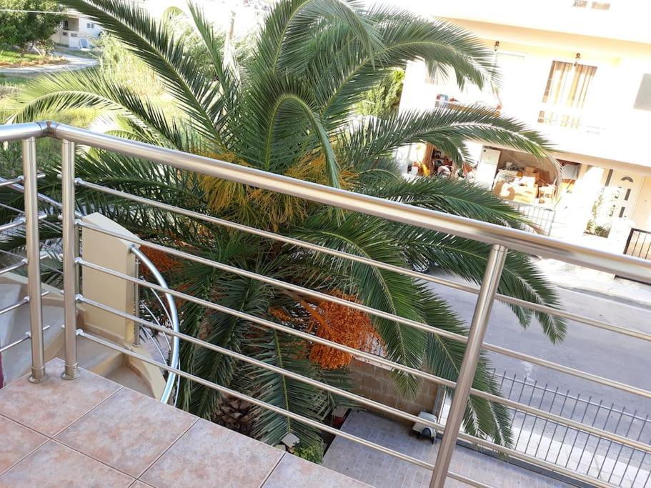 Cozy New Apartments Nea Chora Chania  Zewnętrze zdjęcie